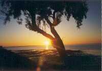 Coucher de soleil sur Saint Martin de R�